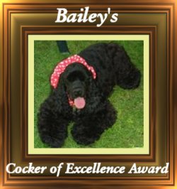 baileysaward.jpg